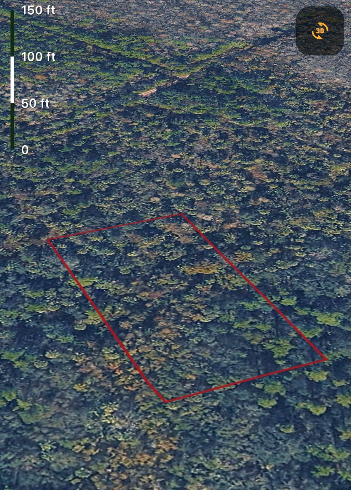 1.25ac HUNTING Property in Lake Helen, Volusia County FL - Owner Financing!