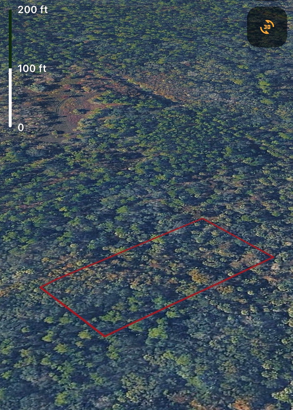 1.25ac HUNTING Property in Lake Helen, Volusia County FL - Owner Financing!