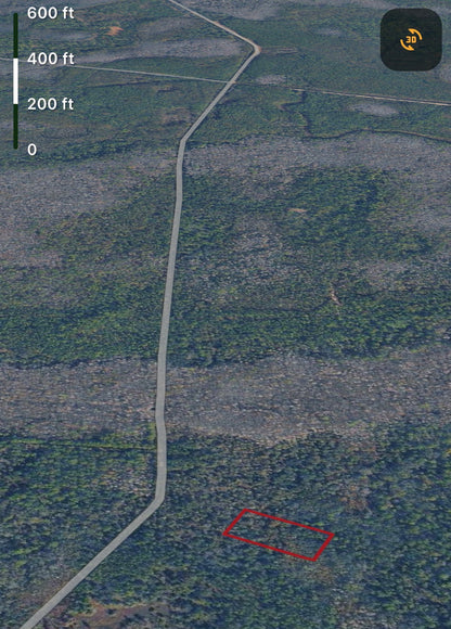 1.25ac HUNTING Property in Lake Helen, Volusia County FL - Owner Financing!