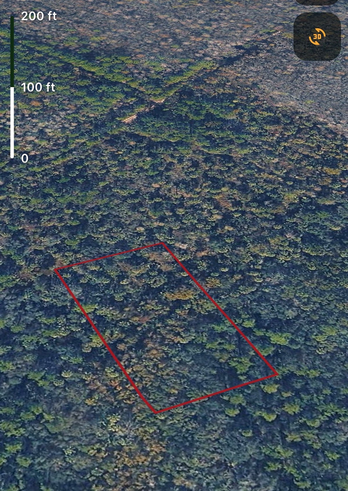 1.25ac HUNTING Property in Lake Helen, Volusia County FL - Owner Financing!