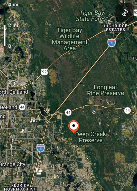 1.25ac HUNTING Property in Lake Helen, Volusia County FL - Owner Financing!