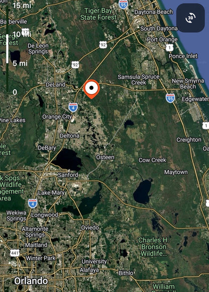 1.25ac HUNTING Property in Lake Helen, Volusia County FL - Owner Financing!
