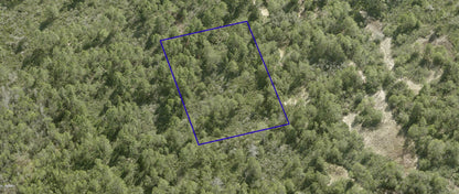 1.22 Acre Vacant Residential Property in Indian River Park, BREVARD COUNTY FL - Only $99 Down & $124 per Month!