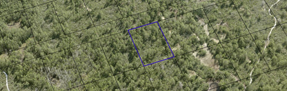 1.22 Acre Vacant Residential Property in Indian River Park, BREVARD COUNTY FL - Only $99 Down & $124 per Month!