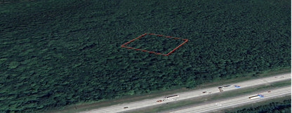 2.50 Acres of Land in Rapidly Expanding Volusia County - ONLY $199 Down, $226 per Month!